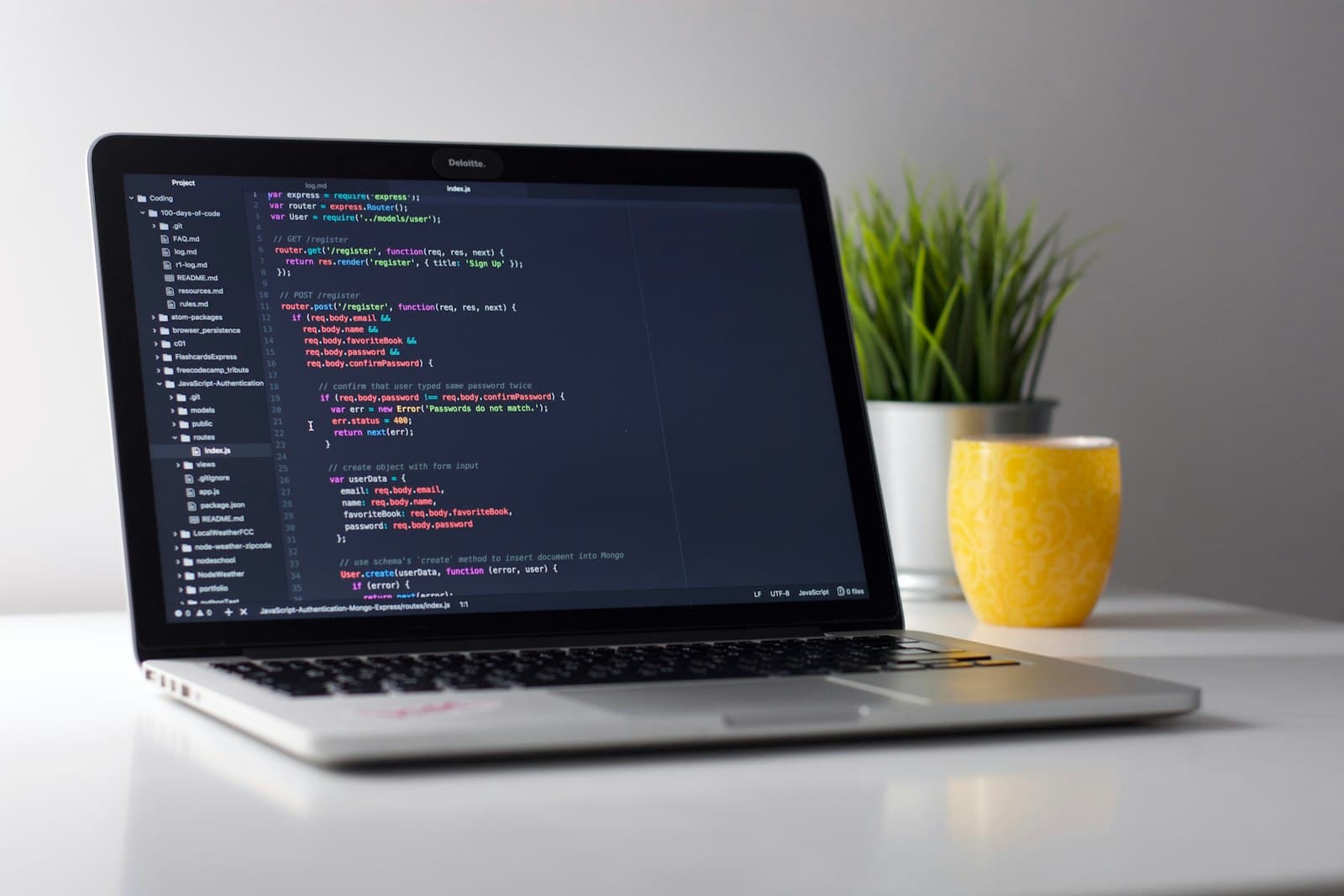 Software development workstation